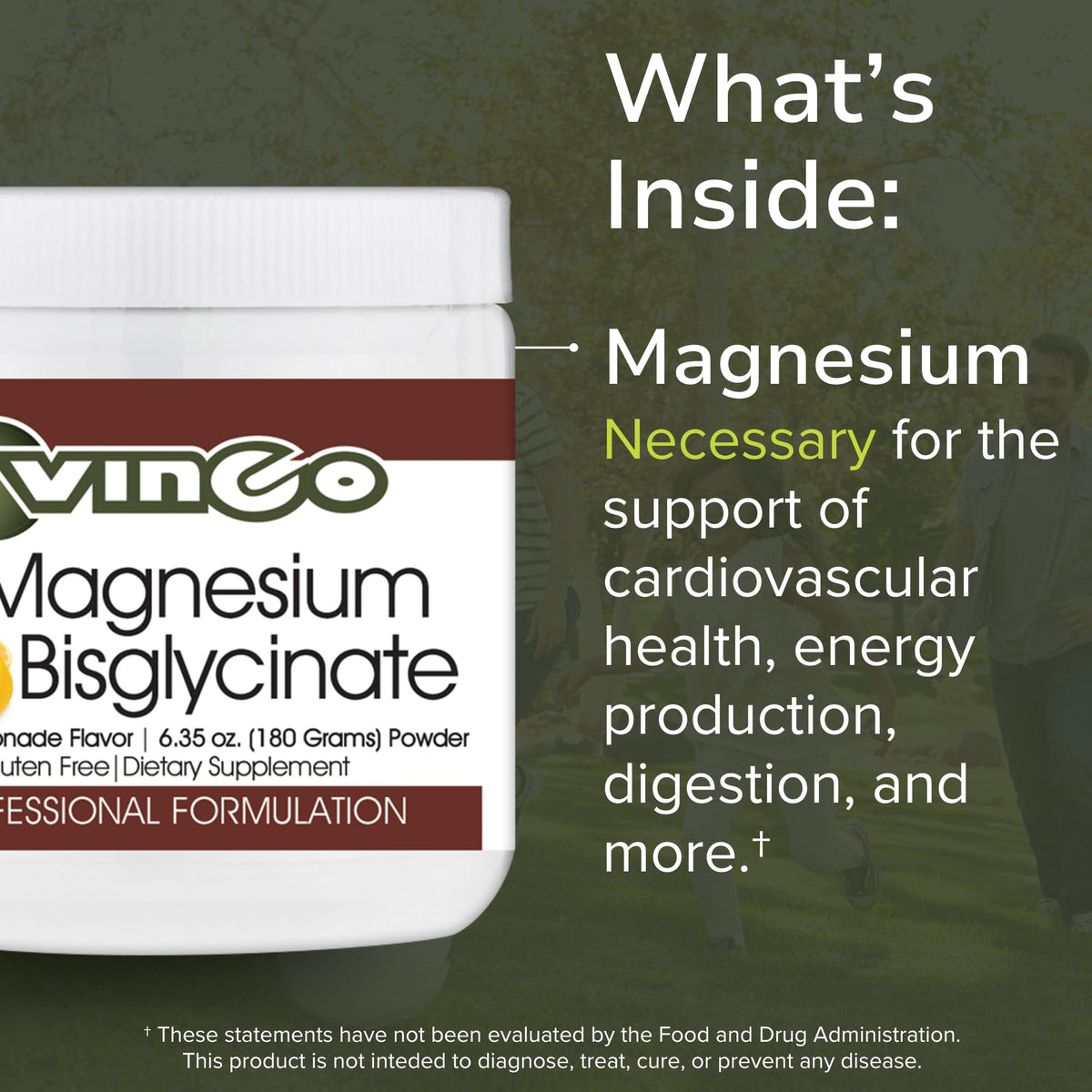 Vinco Magnesium Bisglycinate Powder for Muscle Support - 30 Servings - image 4