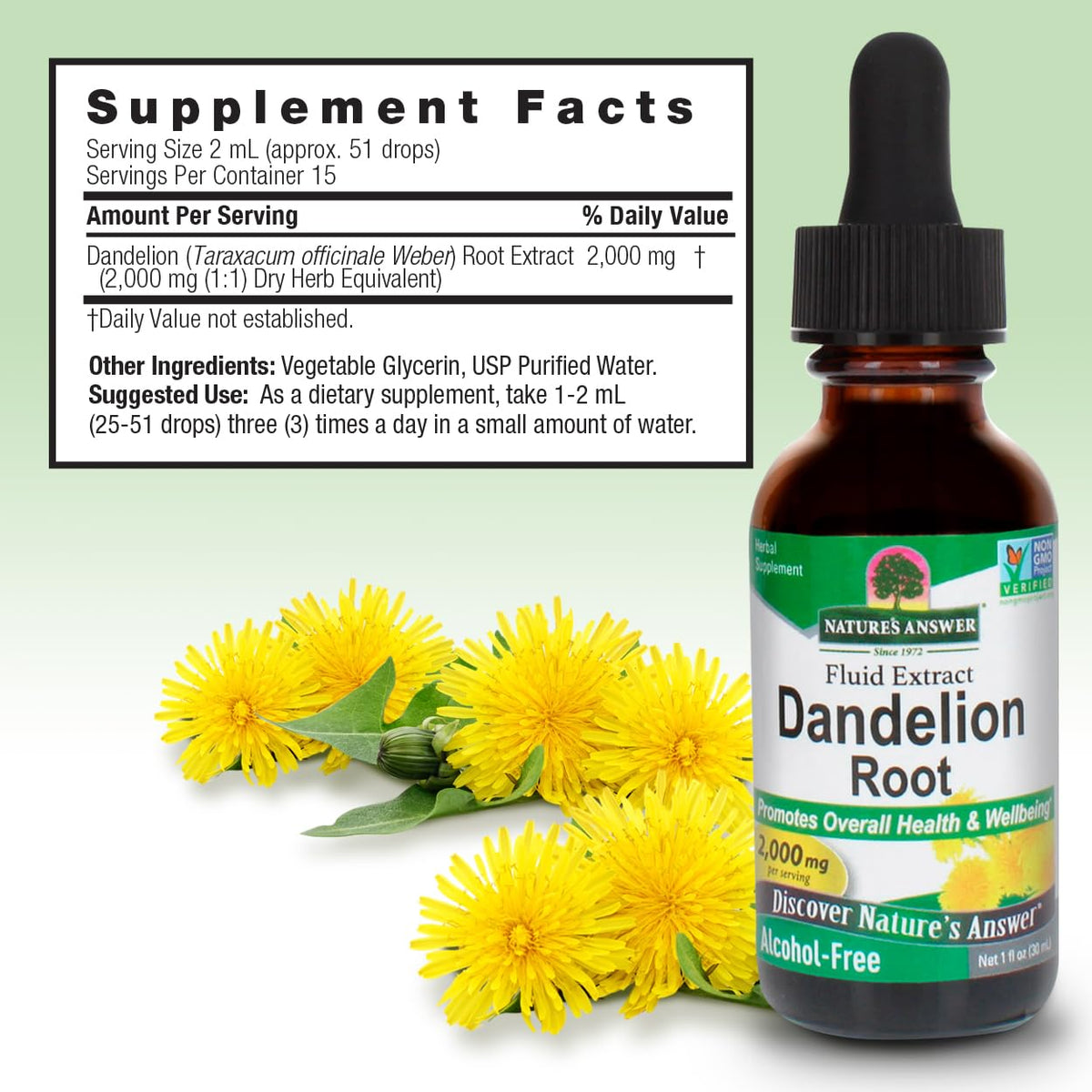 Nature's Answer Dandelion Root 2000mg Liquid Extract - 1 Fl Oz - image 3