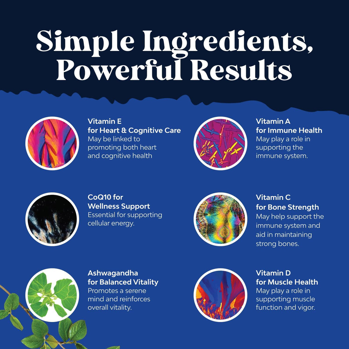 Natures Craft Daily Mens Multivitamins Gummies - 90 Count - image 3