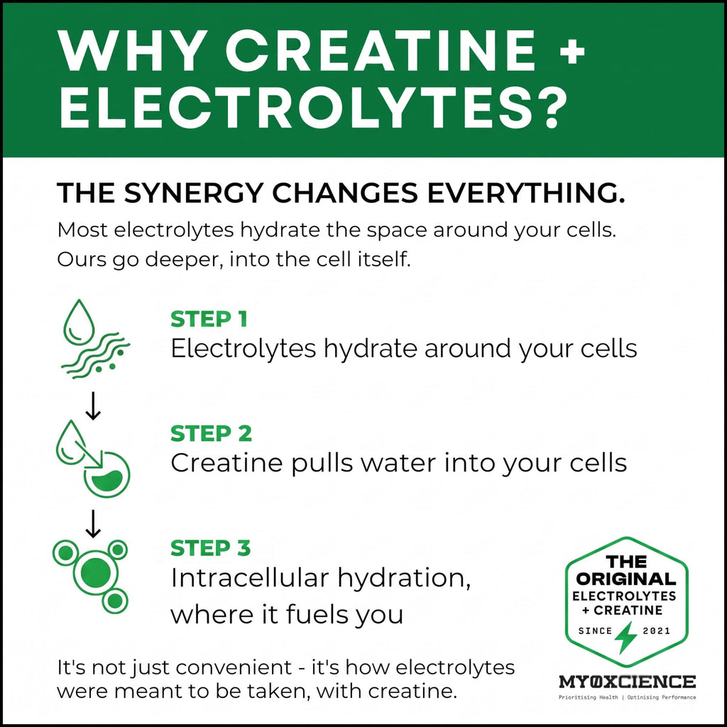 MYOXCIENCE Electrolyte STIX