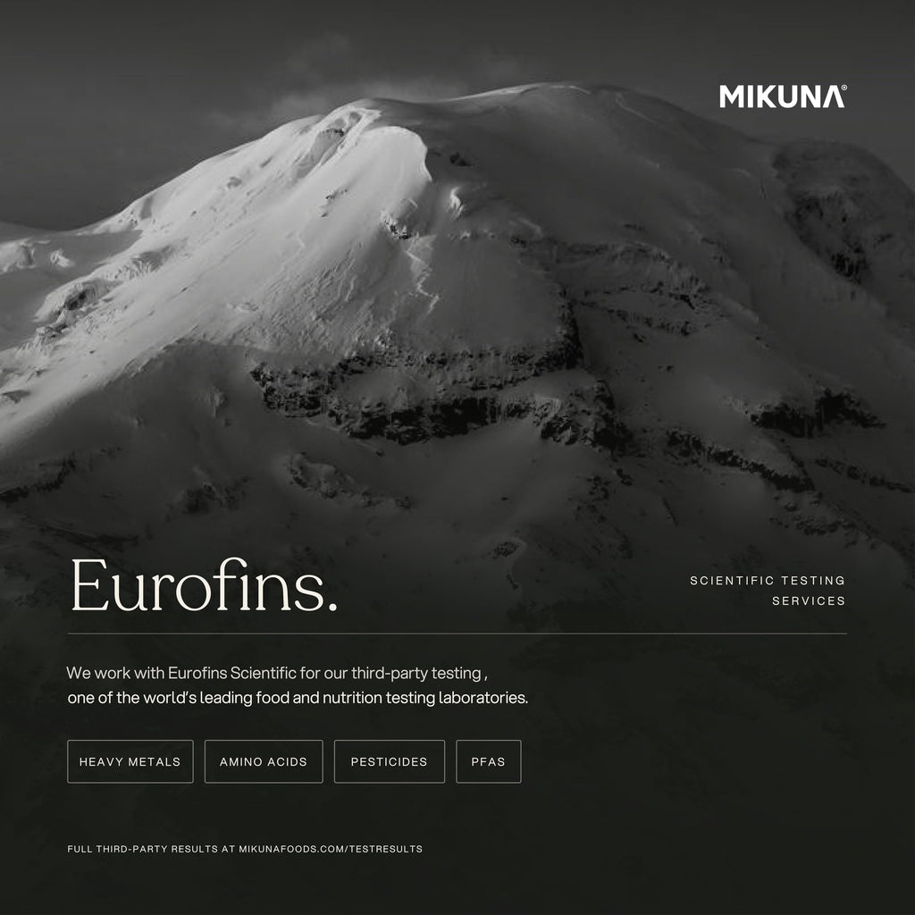 Mikuna Chocho Plant Protein