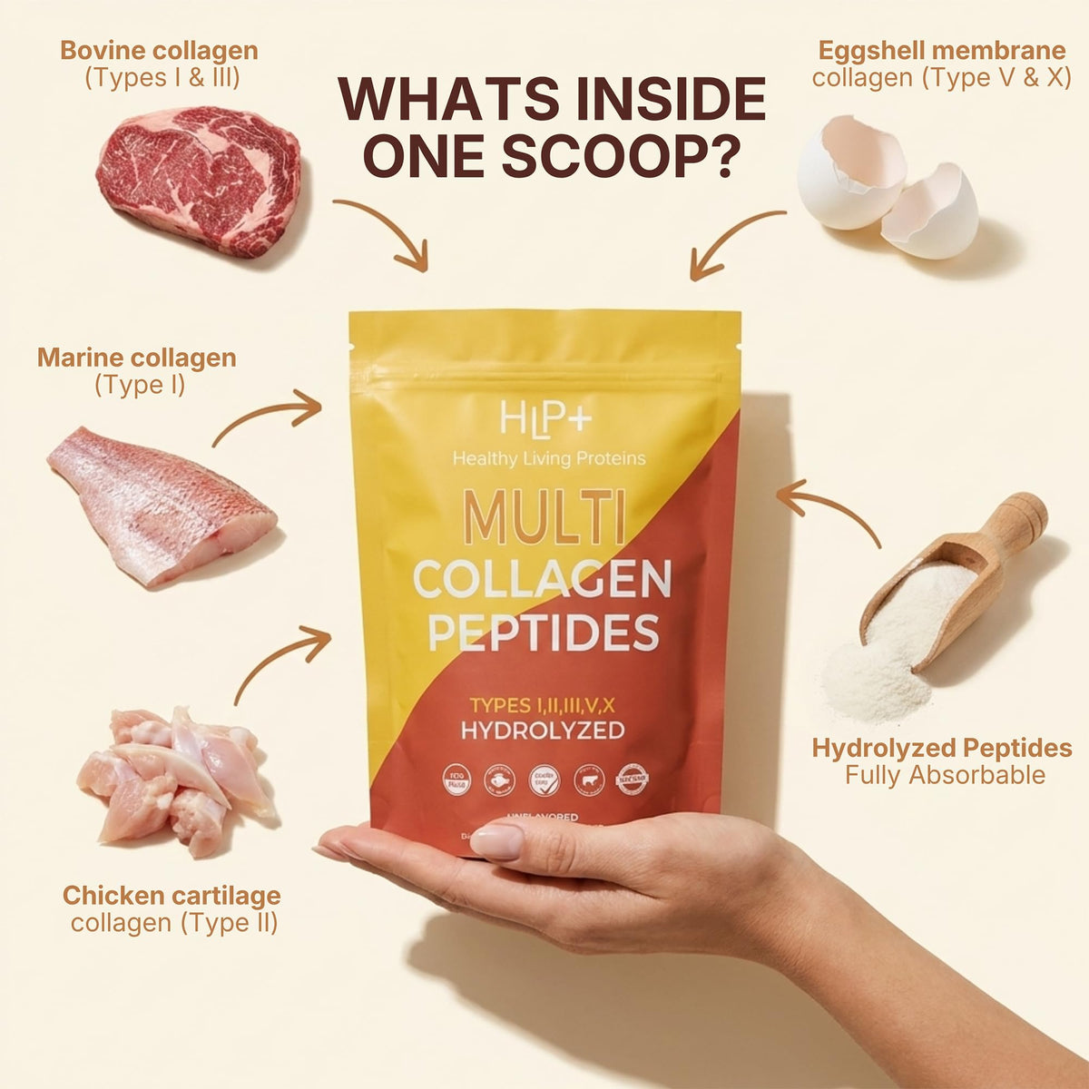 HLP Healthy Living Proteins Healthy Living Proteins Collagen Peptides