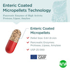 Micrazym Pancreatic Enzymes 25,000 USP - 50 Capsules - image 4