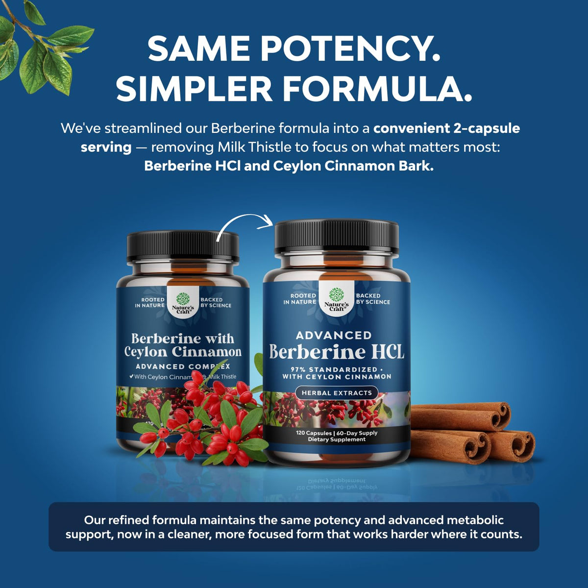Natures Craft Balancing Berberine Plus 1200mg Per Serving Complex