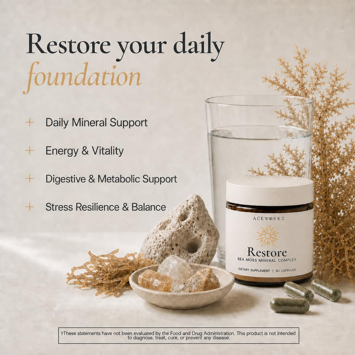 ACEWORKZ Restore Organic Sea Moss Mineral Complex - 60 Capsules - image 3
