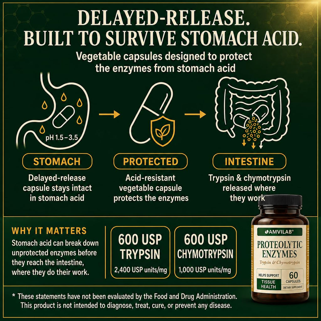 AMVILAB Proteolytic Enzymes Trypsin & Chymotrypsin - 60 Capsules - image 5