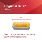 PROTOCOL FOR LIFE BALANCE Cogumin SLCP 400mg Curcumin Brain Support - image 7
