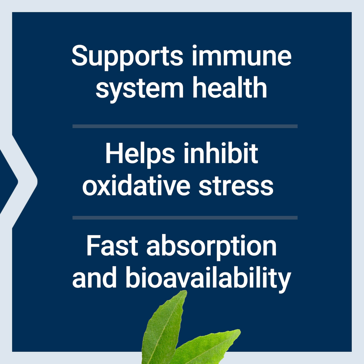 Life Extension Fast-C and Bio-Quercetin Immune Support - 60 Tablets - image 4