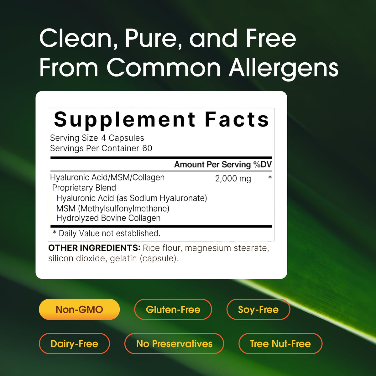 NatureBell BA NB Hyaluronic Acid & MSM Parent