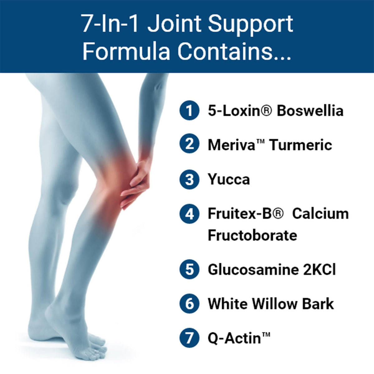 Advanced Bionutritionals Advanced Joint Support - 120 Tablets - image 3