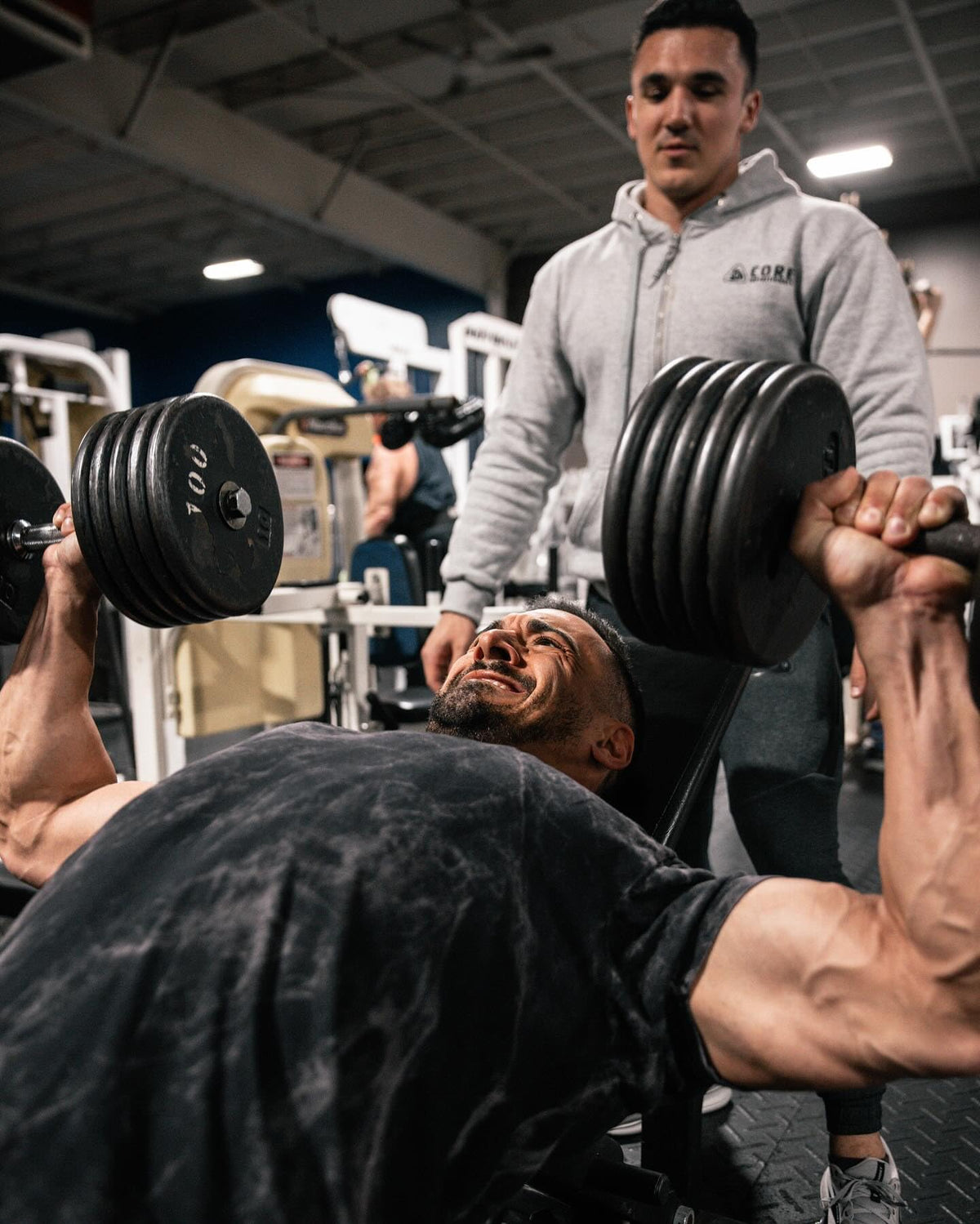 Core Nutritionals Platinum Test