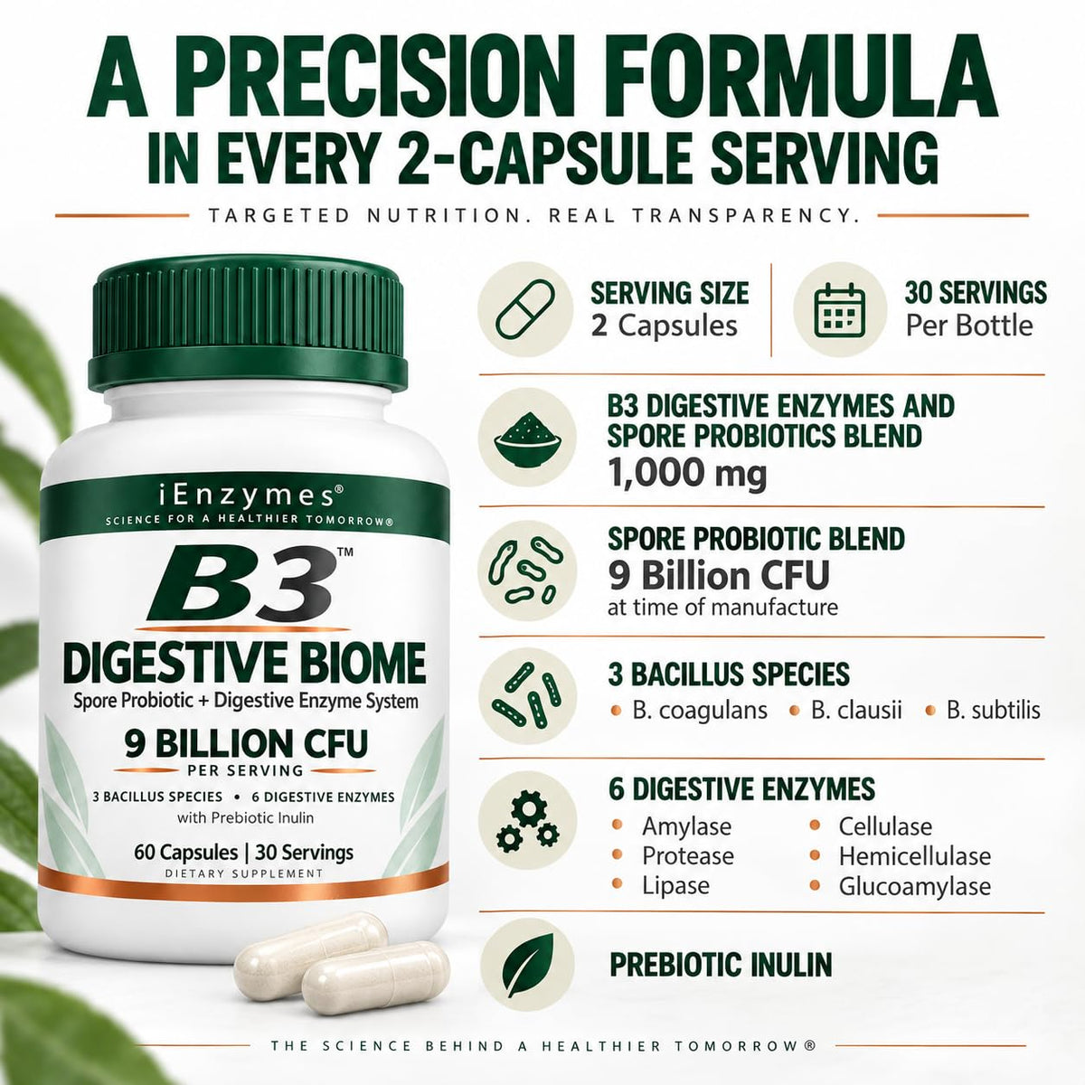 iEnzymes Bacillus B3 Spore-Based Probiotic + Enzymes - 300 Capsules - image 3
