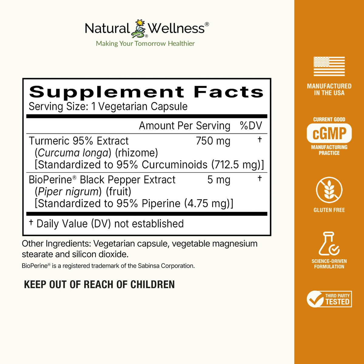 Natural Wellness Turmeric 95 with BioPerine Joint Support - 60 Capsules - image 2