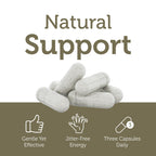 Zahler TeenFocus Advanced Formula for Focus & Concentration - 90 Capsules - image 4