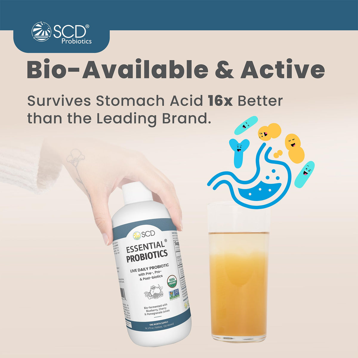SCD Probiotics Essential Probiotics Gut Health Drink - 16 fl oz - image 4