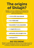 Lunakai USA Made 1200mg Pure Himalayan Shilajit Gummies for Men