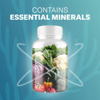 TrueSeaMoss Irish Sea Moss Capsules 1600 mg - 120 Capsules - image 3