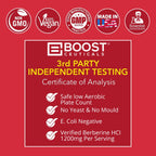 BoostCeuticals Pure Berberine 1200mg - 60 Vegan Capsules - image 4