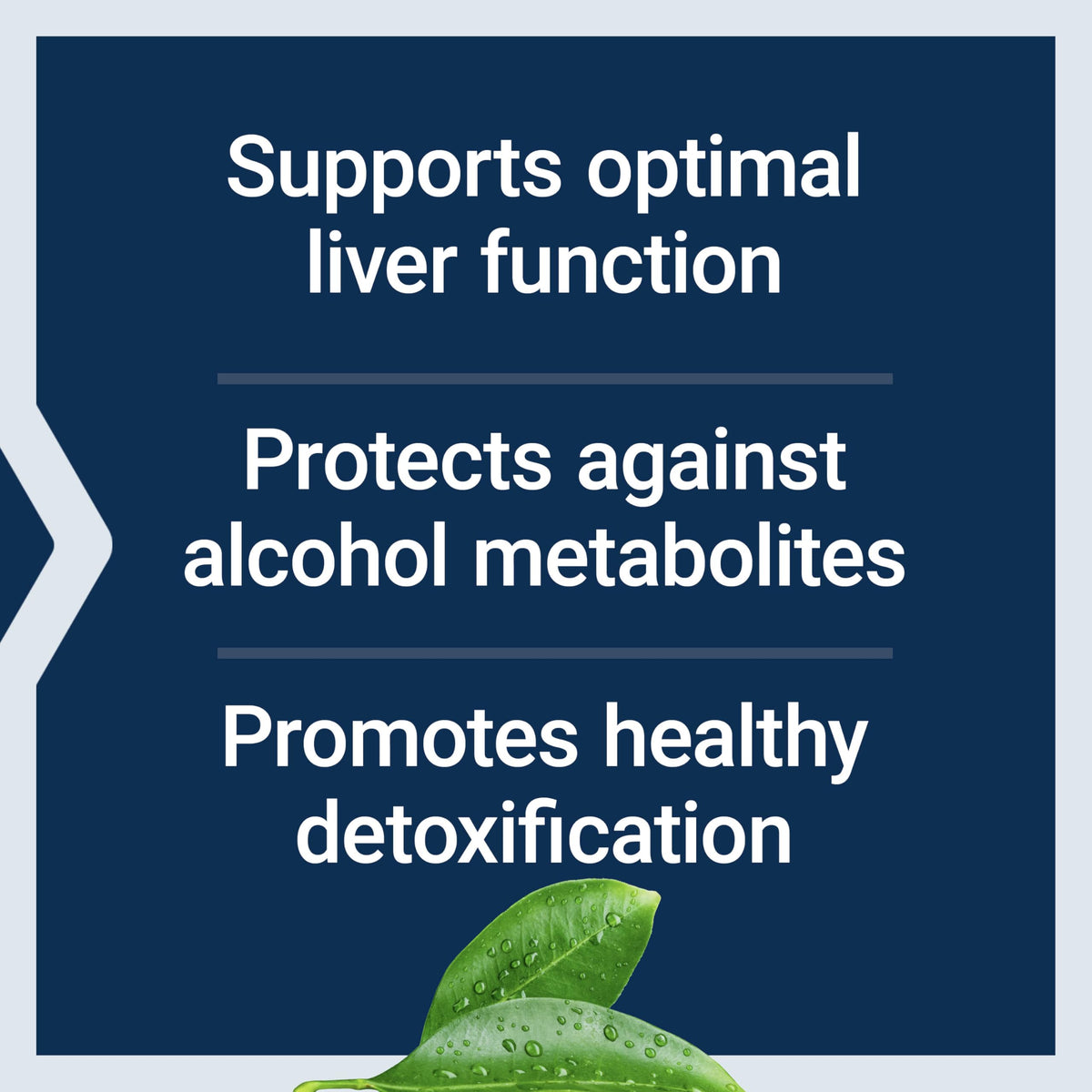Life Extension Anti-Alcohol Complex - 60 Capsules - image 4