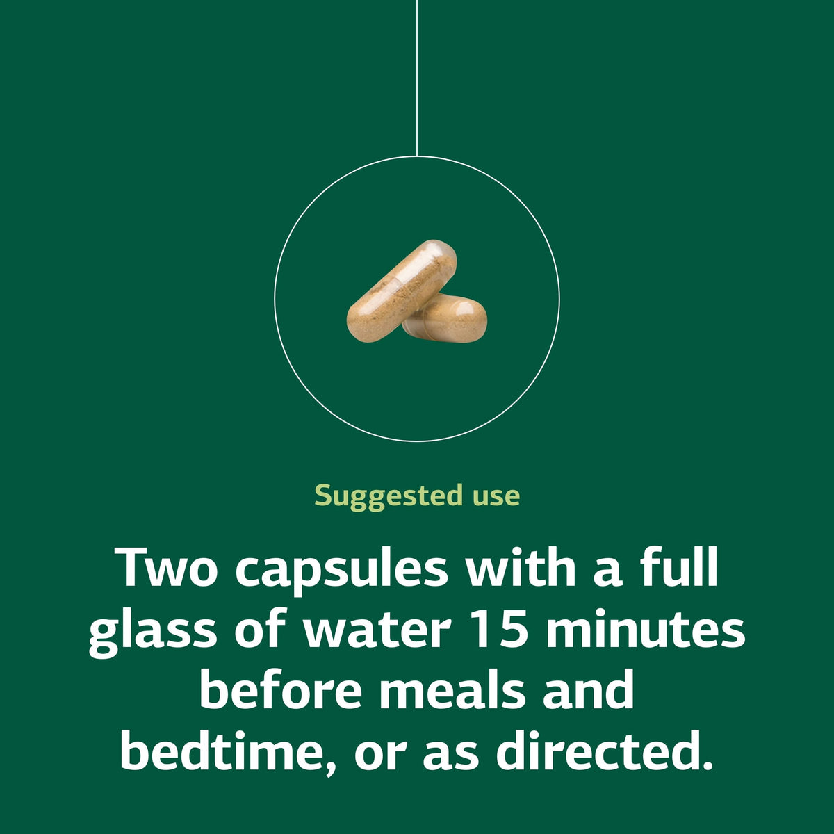Standard Process Gastrex Digestion Support - 90 Capsules - image 5