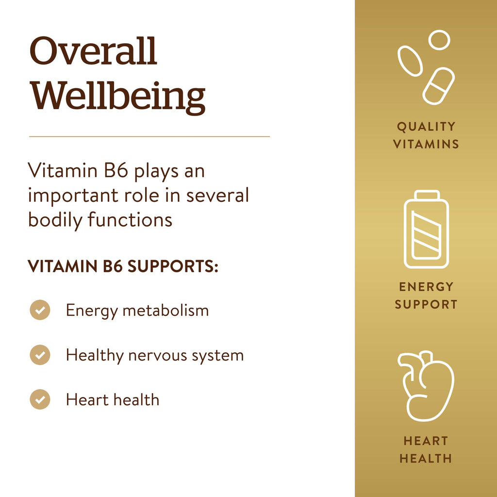 Solgar Vitamin B-6 100mg - 100 Tablets - image 4