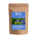 Blessfull Healing Organic Wild Blueberry Powder 100% Pure Natural 200