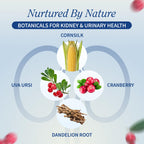 Snap Supplements Kidney Health Support - 60 Vegetarian Capsules - image 3