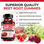BioSchwartz BIOSHWARTZ Flavored Gummies Nitric Oxide Supports Energy