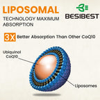 Besibest 1000mg Liposomal CoQ10 Ubiquinol
