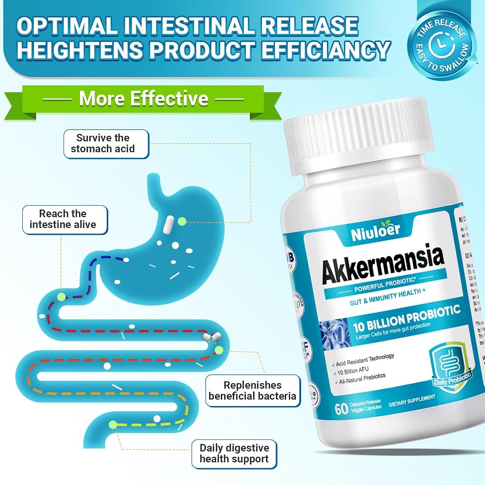 Niuloer Akkermansia Probiotic 10 Billion AFUs - 60 Capsules - image 3