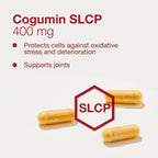 PROTOCOL FOR LIFE BALANCE Cogumin SLCP 400mg Curcumin Brain Support - image 4