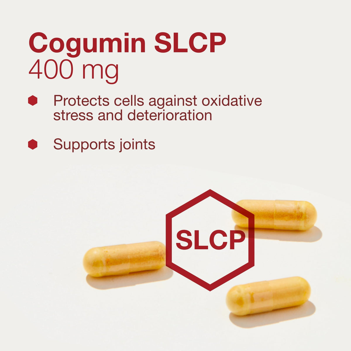 PROTOCOL FOR LIFE BALANCE Cogumin SLCP 400mg Curcumin Brain Support - image 4