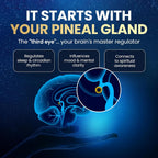 Nutraville Pineal XT Gold - Pineal Gland Supplement - Third Eye