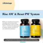 LifeVantage Rise AM and Reset PM Daily Multivitamin System