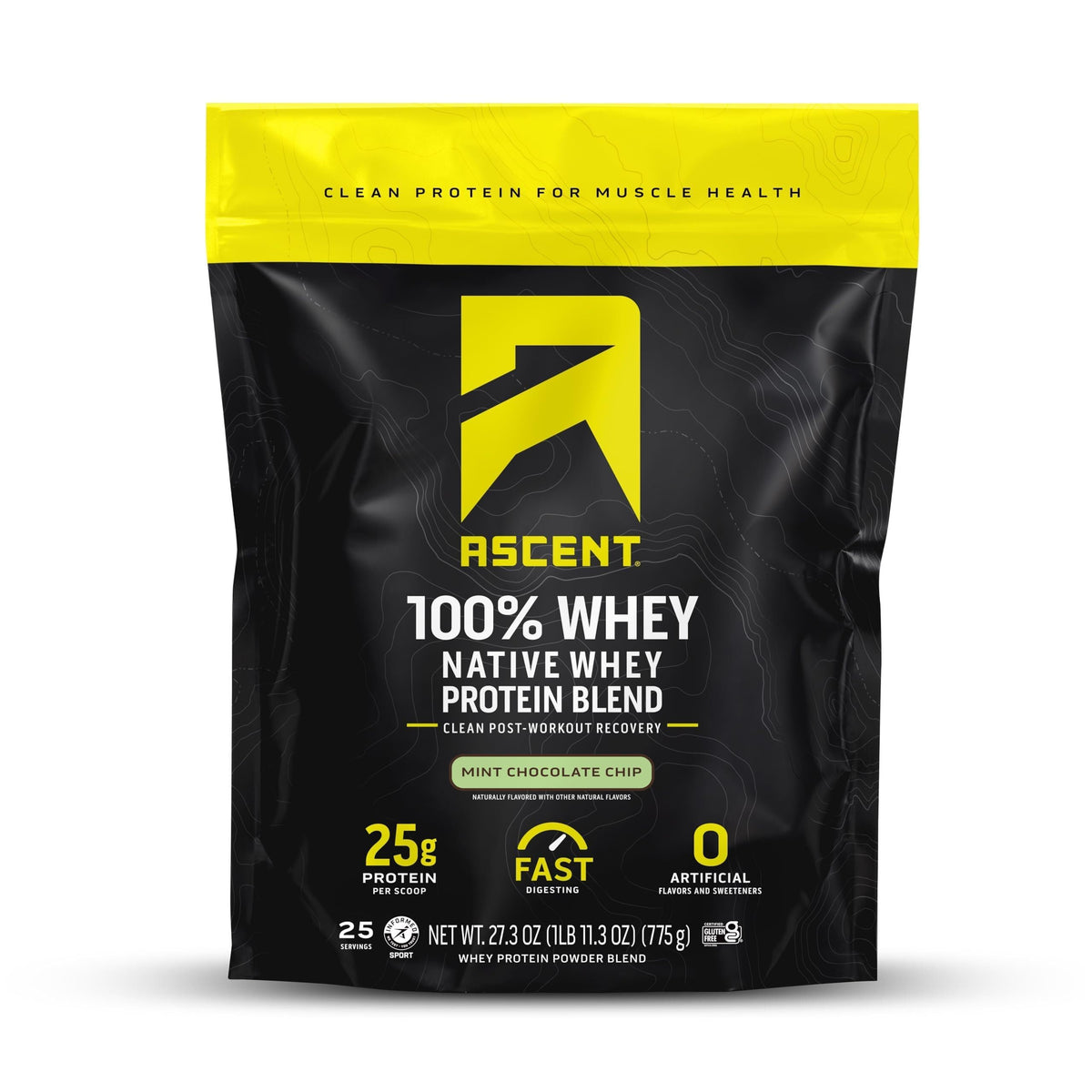 Ascent Whey Protein Powder - Post Workout Whey Protein Isolate