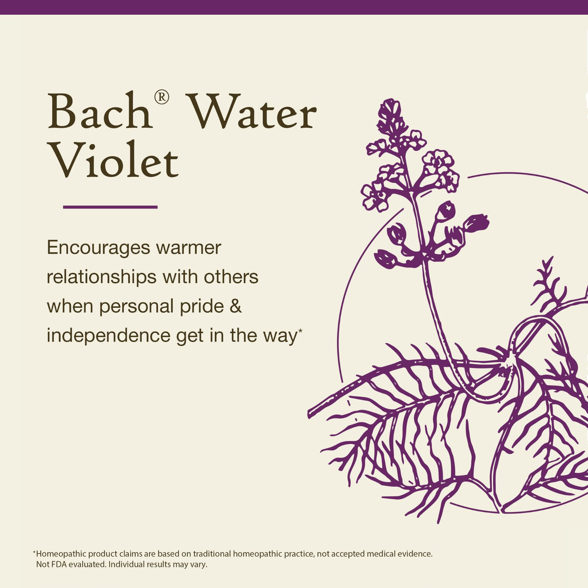 Bach Flower Remedies Water Violet - 20 mL - image 3