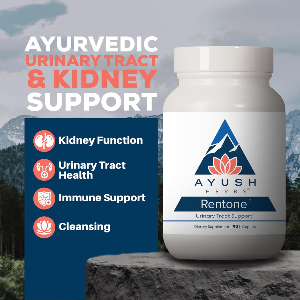 Ayush Herbs Rentone Kidney Support Supplement - 90 Caplets - image 2