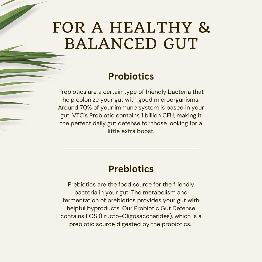 VTC Probiotic Gut Defense - 90 Vegetable Capsules - image 7