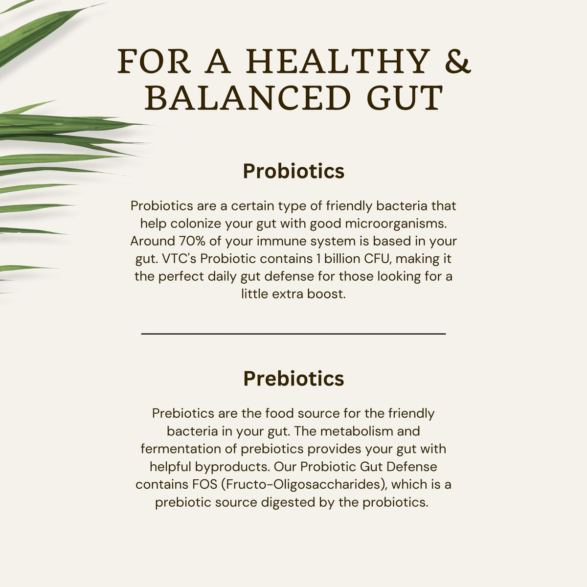 VTC Probiotic Gut Defense - 90 Vegetable Capsules - image 7