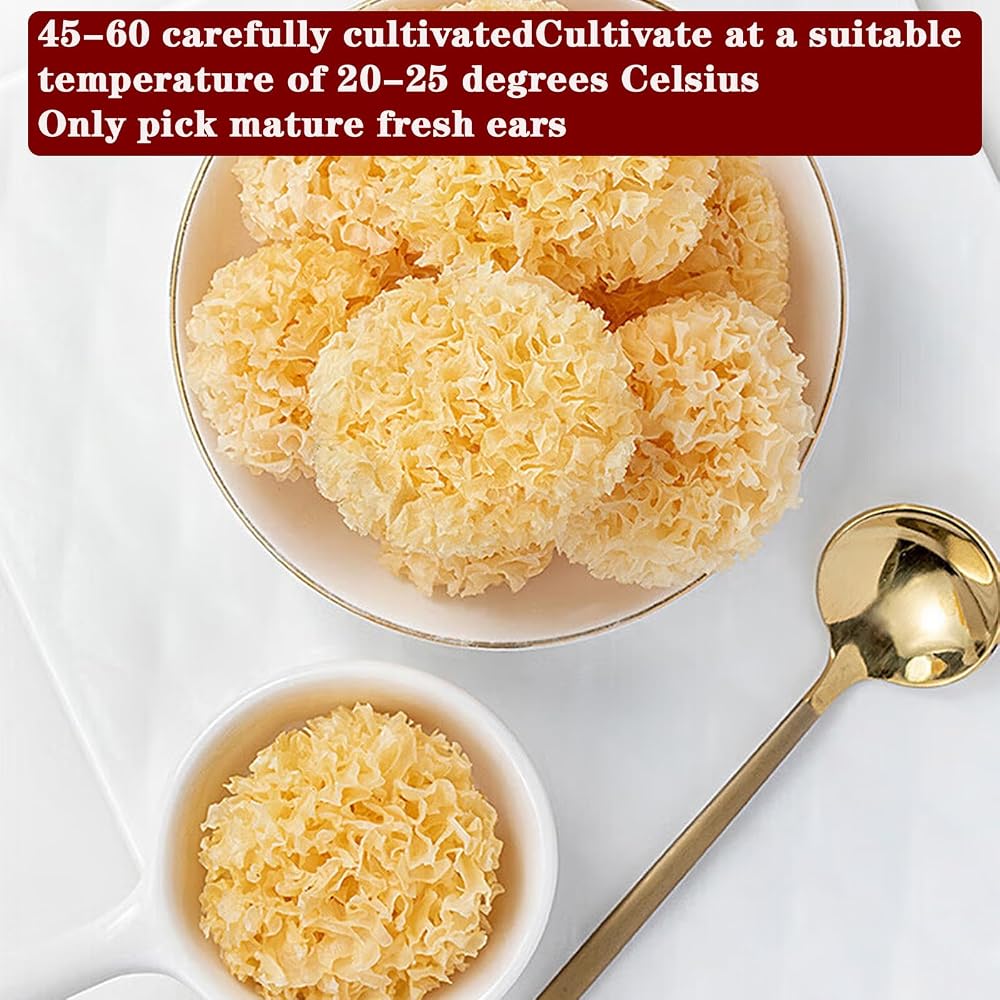 晟茗汐 White Snow Fungus Tremella Mushroom - 100g - image 3