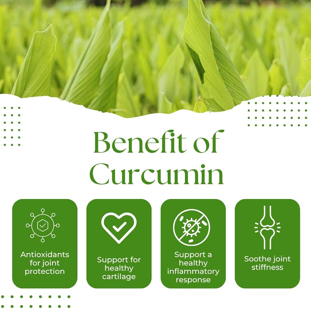Green Life Org Turmeric Curcumin 750mg Joint Support - 60 Capsules - image 6