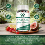 WACHRAY Advanced Hemp Gummies with Omega 3-6-9 - 240 Count - image 6