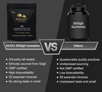 DLNIA KSM-66 Ashwagandha & Himalayan Shilajit Gummies - 90 Count - image 5