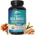 NutriFlair Organic Sea Moss 1600mg - 120 Vegetarian Capsules