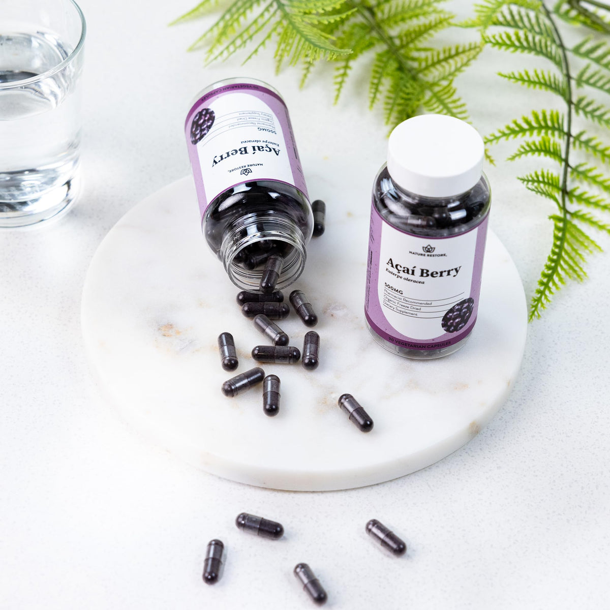 Nature Restore Organic Acai Berry Supplement - 90 Capsules - image 4