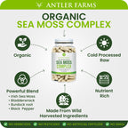 Antler Farms Sea Moss Complex with Bladderwrack - 130 Capsules - image 4