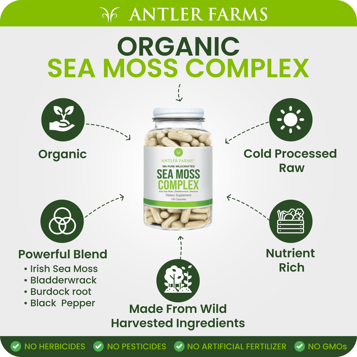 Antler Farms Sea Moss Complex with Bladderwrack - 130 Capsules - image 4