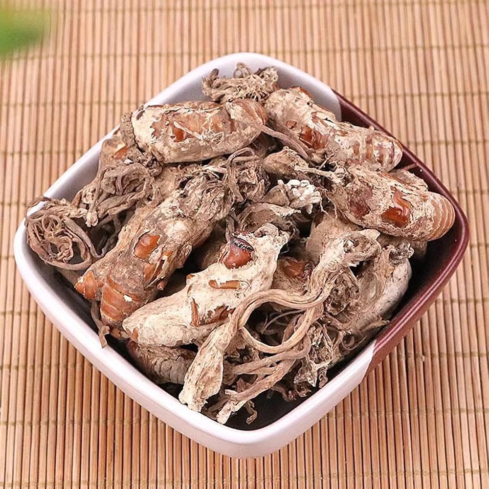 REUEHDS Cordyceps Cicadae Jinchanhua Herbal Tea - 250g - image 3