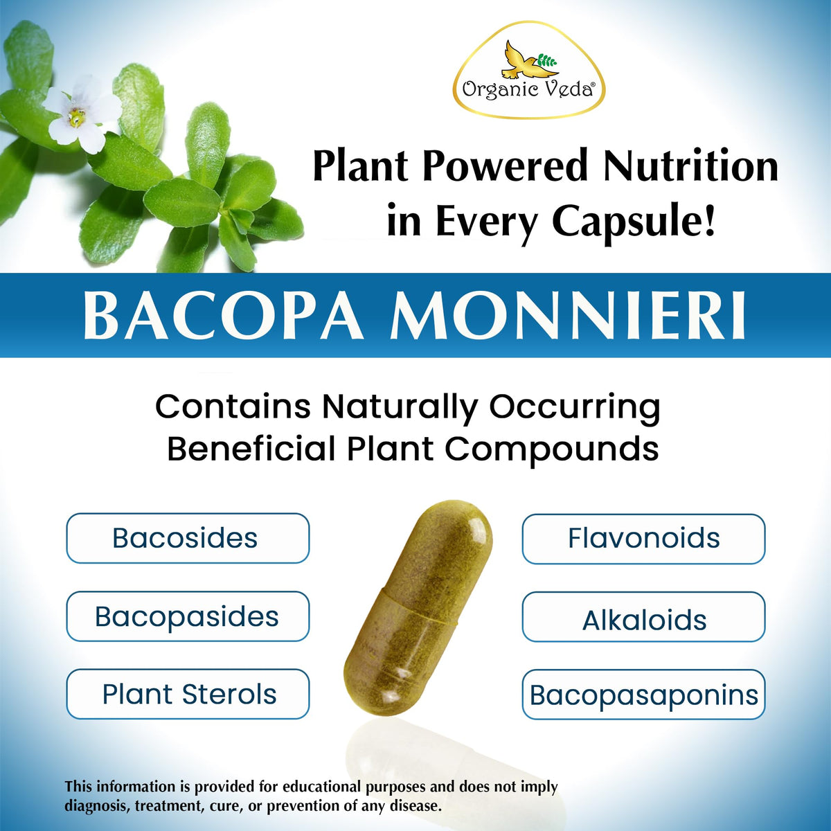 Organic Veda Bacopa Monnieri Brahmi Supplement - 120 Vegan Capsules - image 7