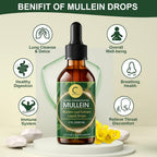 GPGP GreenPeople Mullein Leaf Extract Drops for Lungs